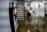 Dog’s Priceless Reaction to Illinois Home Flooding Caught on Pet Cam