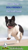 Don’t Miss Dog Friendly Fiesta Island In San Diego