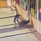 Elderly Woman Bites Dog’s Neck to Save Her Own Dog During Vicious Attack