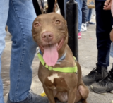 Family Attends Adoption Event And Finds ‘Long-Lost Face’ In The Crowd