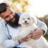 11 Friendly Dog Breeds That Win Hearts Instantly