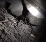 Firefighters Rescue Dog Trapped Between Rocks After Hours-Long Effort