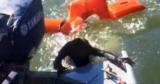 Fisherman Throws Life Jacket To Save A Drowning Dog But It’s ‘Not-A-Dog’ At All
