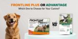 Frontline Plus or Advantage – Which One to Choose for Your Canine?
