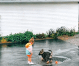 German Shepherd Puppy Keeps Toddler Laughing With Every Bouncy Step