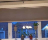 Grandma’s Cat Kept Attacking Her Plants, So She Got a Bit Crafty