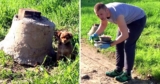 Guy Thought He Was Going To Save A Puppy But He Got ‘Ambushed And Attacked’