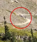 Hikers Panic As They Realize The Bear Is Sprinting Toward Them