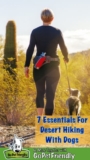 Hiking With Dogs – 7 Essentials For Desert Trails