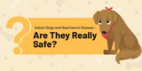 Indoor Dogs and Heartworm Disease: Are They Really Safe?