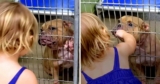 Little Girl Wanted The Dog Who Was ‘Shaking & Hiding’ At The Back Of The Shelter