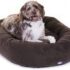 MidWest Dog Bed Review: Perfect For Cozy Crates