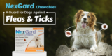 NexGard Chewables: A Guard for Dogs Against Fleas & Ticks