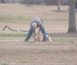 Park Play Ends with a Battle of Wills—and the Dog Totally Wins