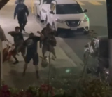 Pit Bull Stabbed While Protecting Owner During Street Fight