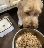 Portland Pet Food Company Review: Human Grade, But Worth the Price?