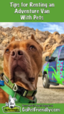 Renting An Adventure Van With Pets
