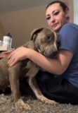 Rescue Dog Scarlet Finds Love and Safety After Life of Neglect
