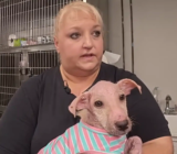 Severely Neglected Dog With Mange Is Now Unrecognizable