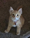 She Heard Cries Coming From a Dumpster. What She Found Changed Her Life Forever