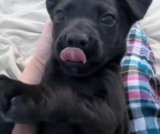 She Wasn’t Expecting to Find a Life Hiding Near That Dumpster