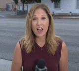 Shocking Raid Where Dogs Freed from Cramped Home in Ongoing Investigation