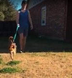 Skeletal Dog Travels 9,000 Miles From Thailand to Texas for Her Forever Home