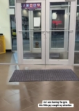 Stray Dog Waiting Outside Gym Has “No Idea” His Life is About to Change