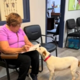 Sweet shelter dog senses she’s being adopted and embraces new mom