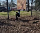 They Prepared for Her Goodbye, But Life Had One More Surprise