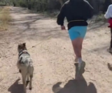 This Shelter Dog Had a Surprise Waiting for the Runner Who Chose Him
