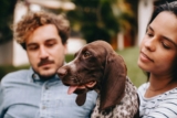 Top 13 Dog Breeds That Have Been the Real MVPs of Family Life