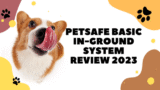 Ultimate Protection For Pets While Outdoors: PetSafe Basic In-Ground System Review 2025