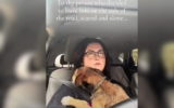 Woman Finds Out the ‘Sad’ Reason Her Dog Fears Car Rides