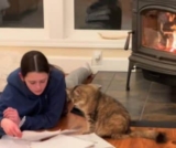 Young Girl Visits Shelter for a Kitten, Leaves With a Gentle Old Soul