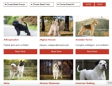 iHeartDogs Launches the Ultimate Guide to 200+ Dog Breeds, a Comprehensive Resource for Dog Lovers Everywhere